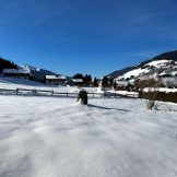 Luxurious Chalets Close to Megève Village Centre