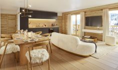 Ski Apartments For Sale In Morzine